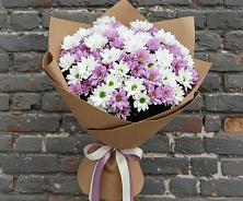 Букет цветов из:  Хризантемы в Будённовской