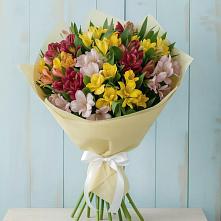 Букет цветов из:  Альстромерии #REPLACE_PRED# Будённовской