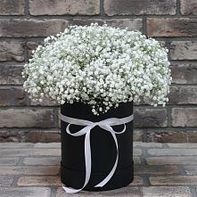 Цветочная композиция из Гипсофила в шляпной коробке в Будённовской