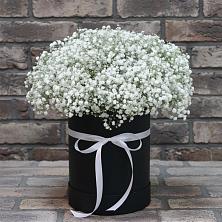 Цветочная композиция из Гипсофила в шляпной коробке в Будённовской