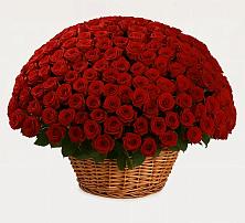 Премиум букет из: Розы #REPLACE_PRED# Будённовской